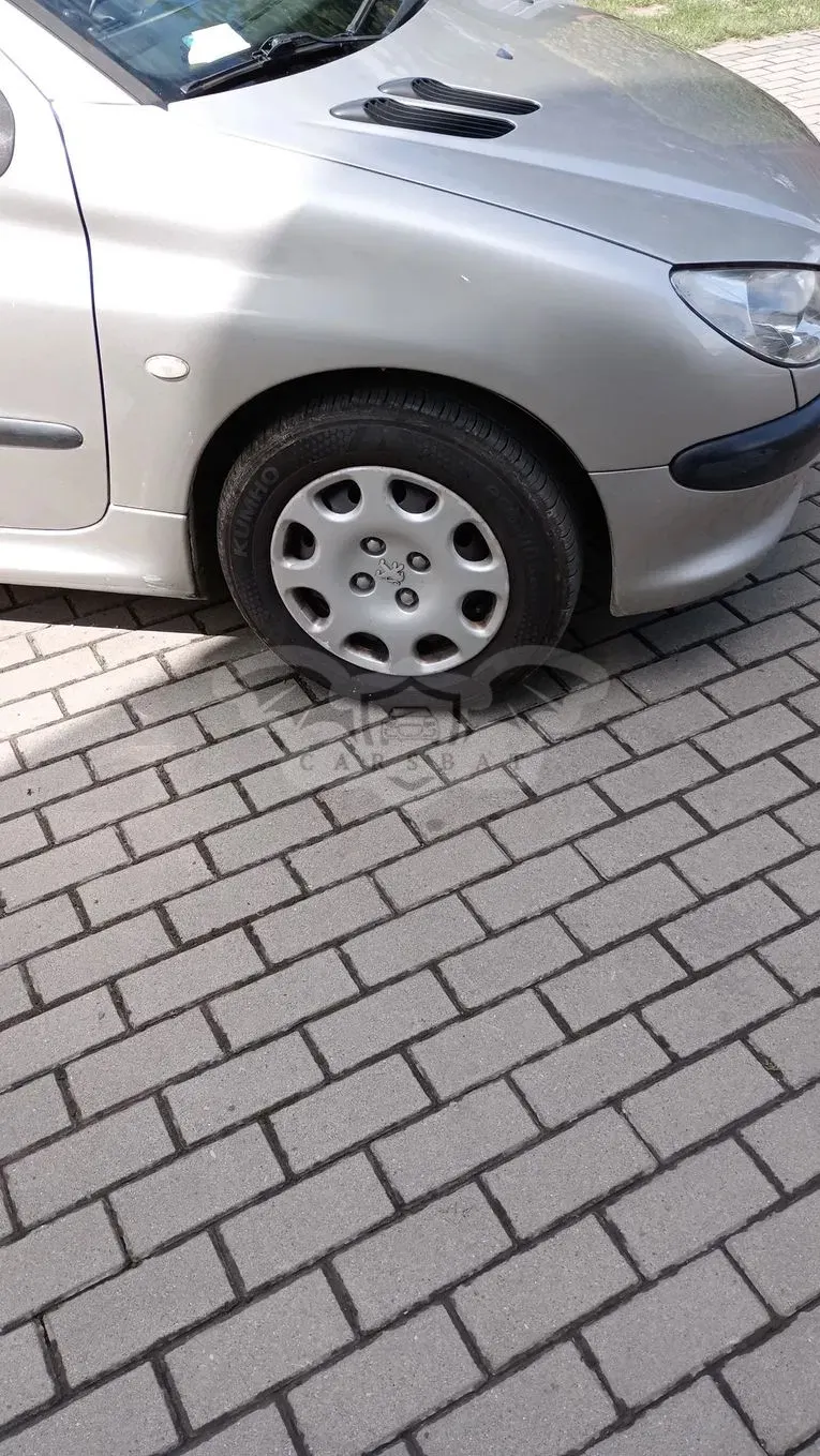 Peugeot 206 1.1 XR Presence 2004