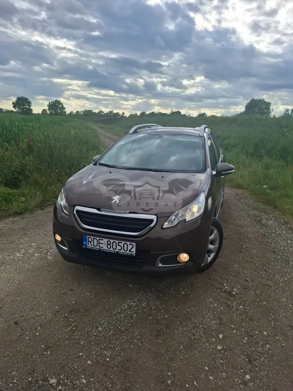 Peugeot 2008 I (2013-2019) 1.4 HDi Active 2015