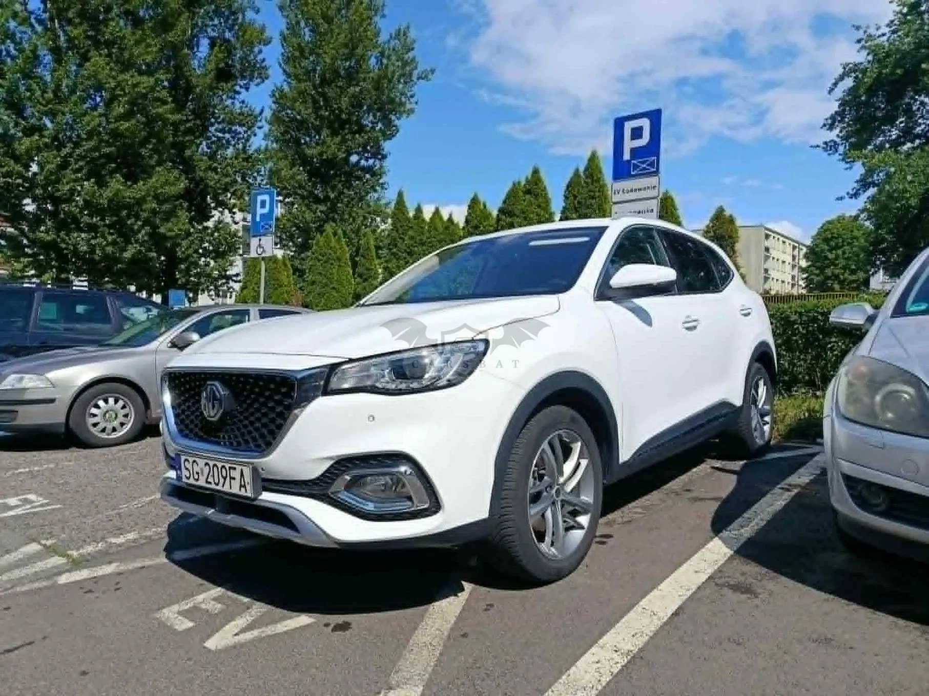 MG EHS 2022