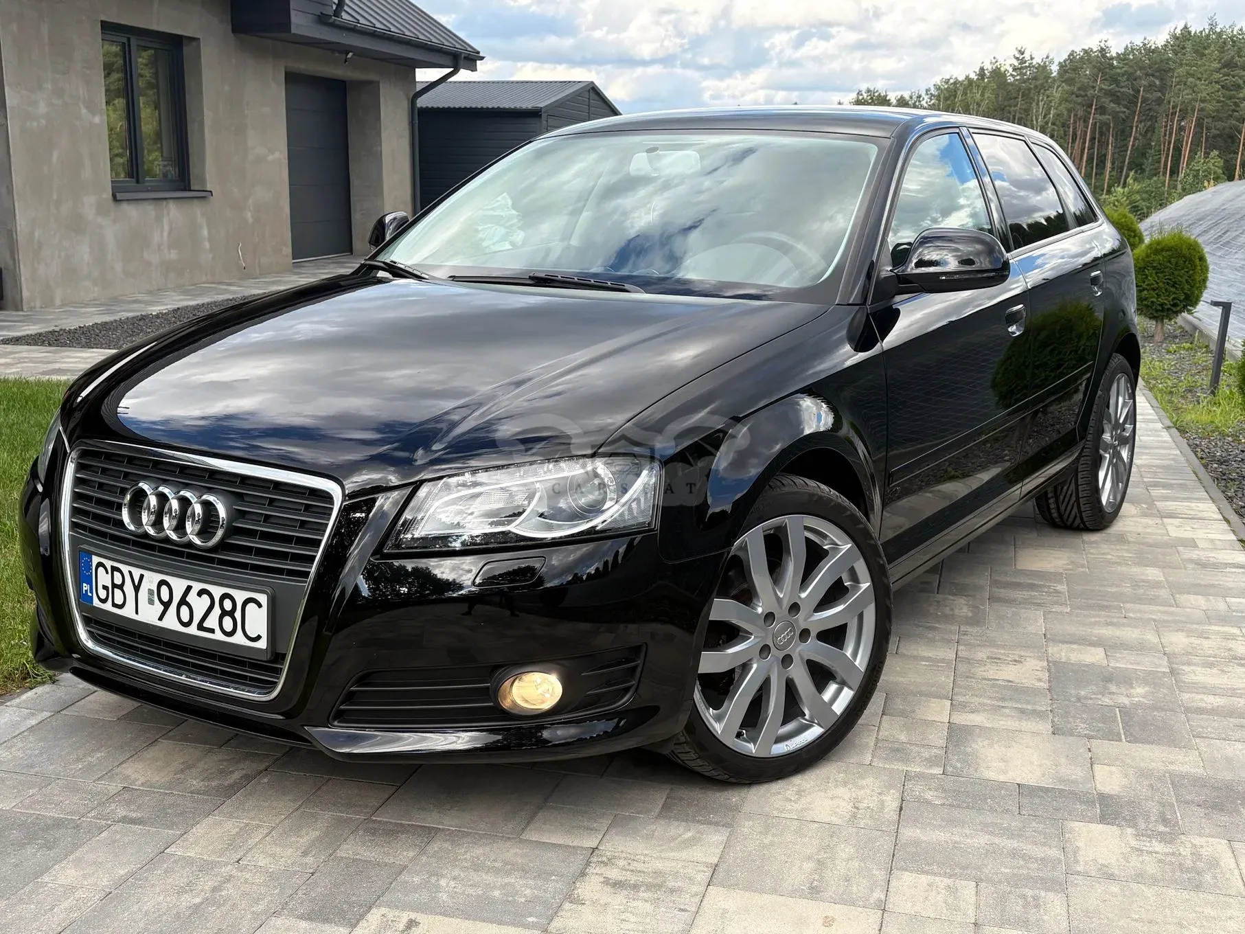 Audi A3 8P (2003-2012) 2009