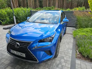 Lexus NX I (2014-2021) 300 Elegance Optimum AWD 2019
