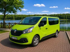 Renault Trafic III (2014-) L2H1 2,9t Pack Clim 2019