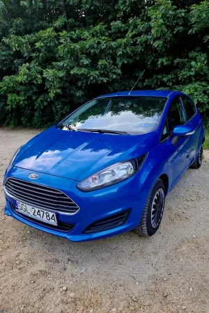 Ford Fiesta Mk7 (2008-) 1.25 Ambiente EU5 2013