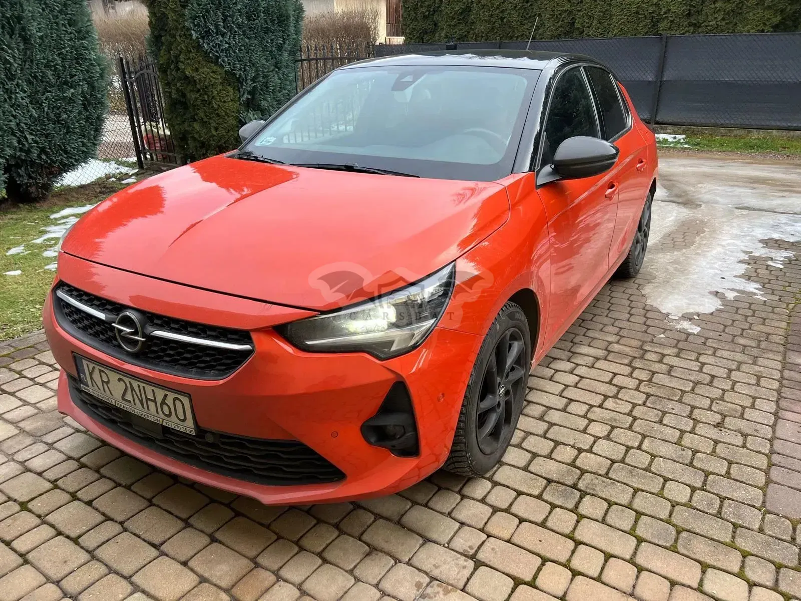 Opel Corsa F (2019-) 2019