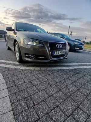 Audi A3 8P (2003-2012) 1.6 TDI DPF Ambition S tronic 2010
