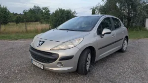 Peugeot 207 1.4 16V Trendy 2006