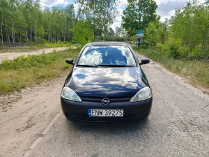 Opel Corsa C (2000-2006) 1.2 16V NJoy 2002