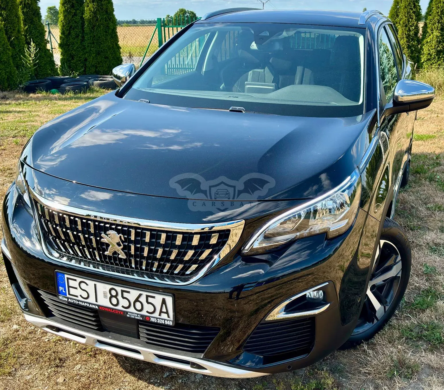 Peugeot 3008 II (2016-2024) BlueHDi 130 Stop & Start Crossway 2019