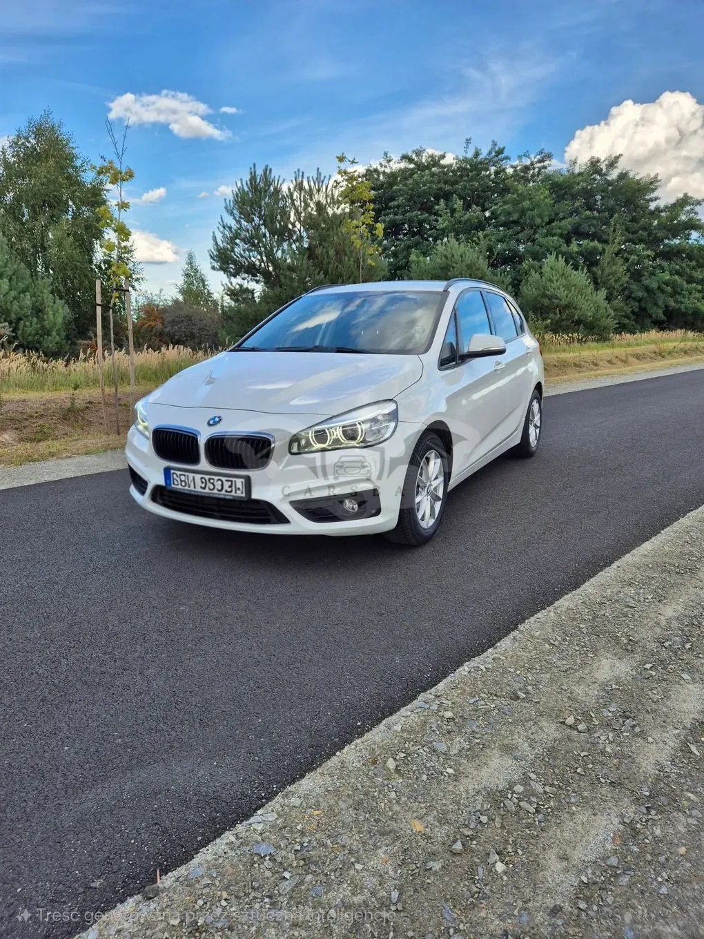 BMW 2 Series 216d 2014