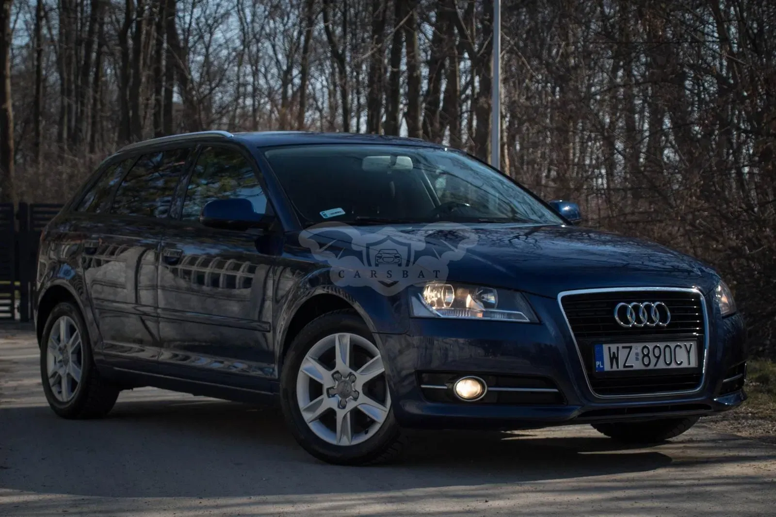 Audi A3 8P (2003-2012) 2.0 TDI Ambition 2012