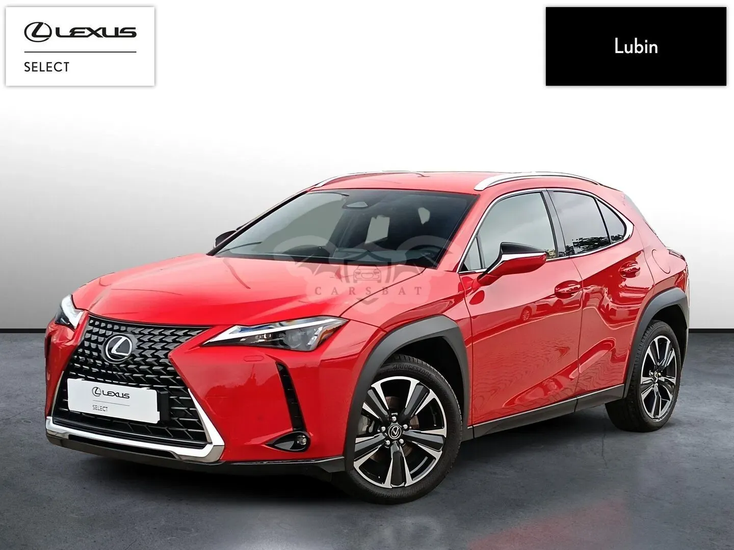 Lexus UX 300h Business 2024