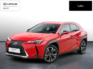Lexus UX 300h Business 2024