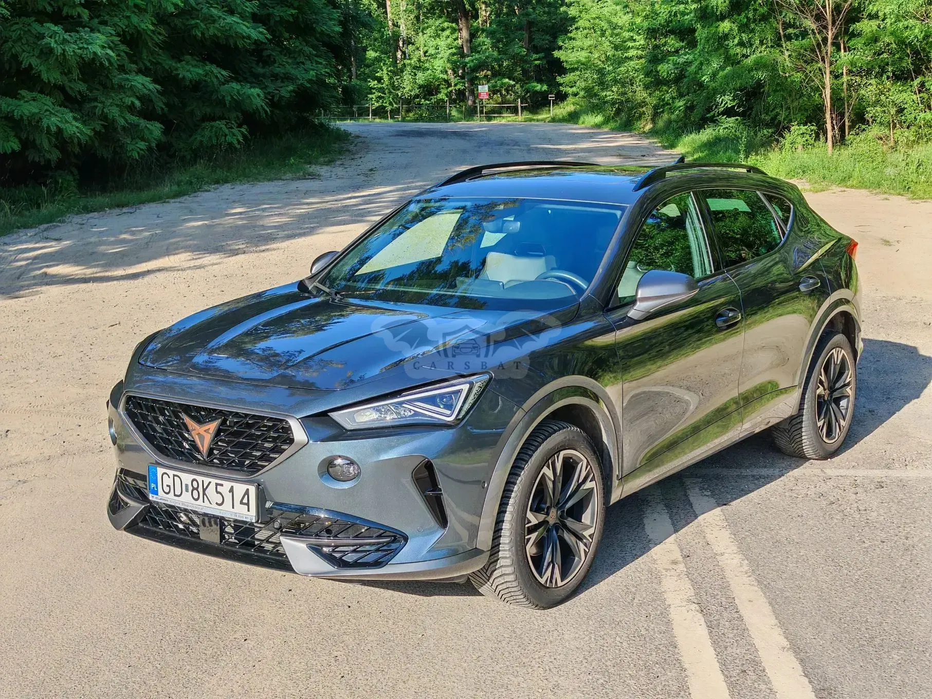 Cupra Formentor 2.0 TSI 4Drive DSG 2023
