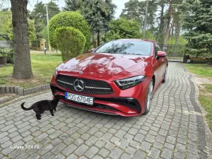 Mercedes-Benz CLS C257 (2018-) 300 d 4Matic 9G-TRONIC AMG Line 2022