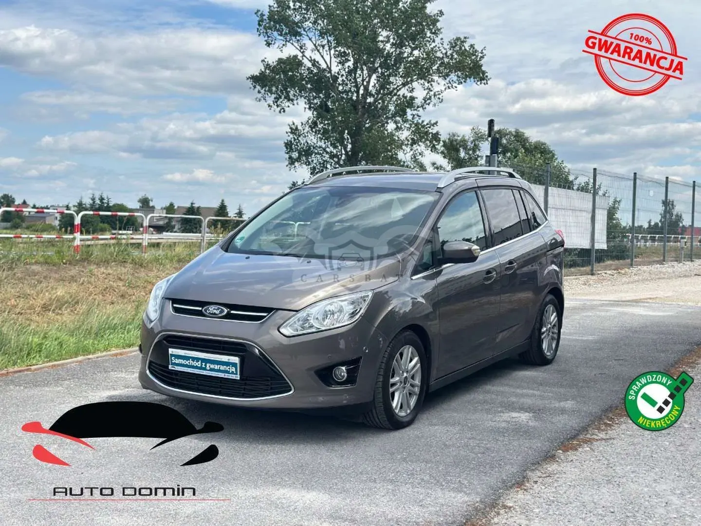 Ford Grand C-Max 2012