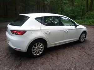 Seat Leon III (2012-) 2013