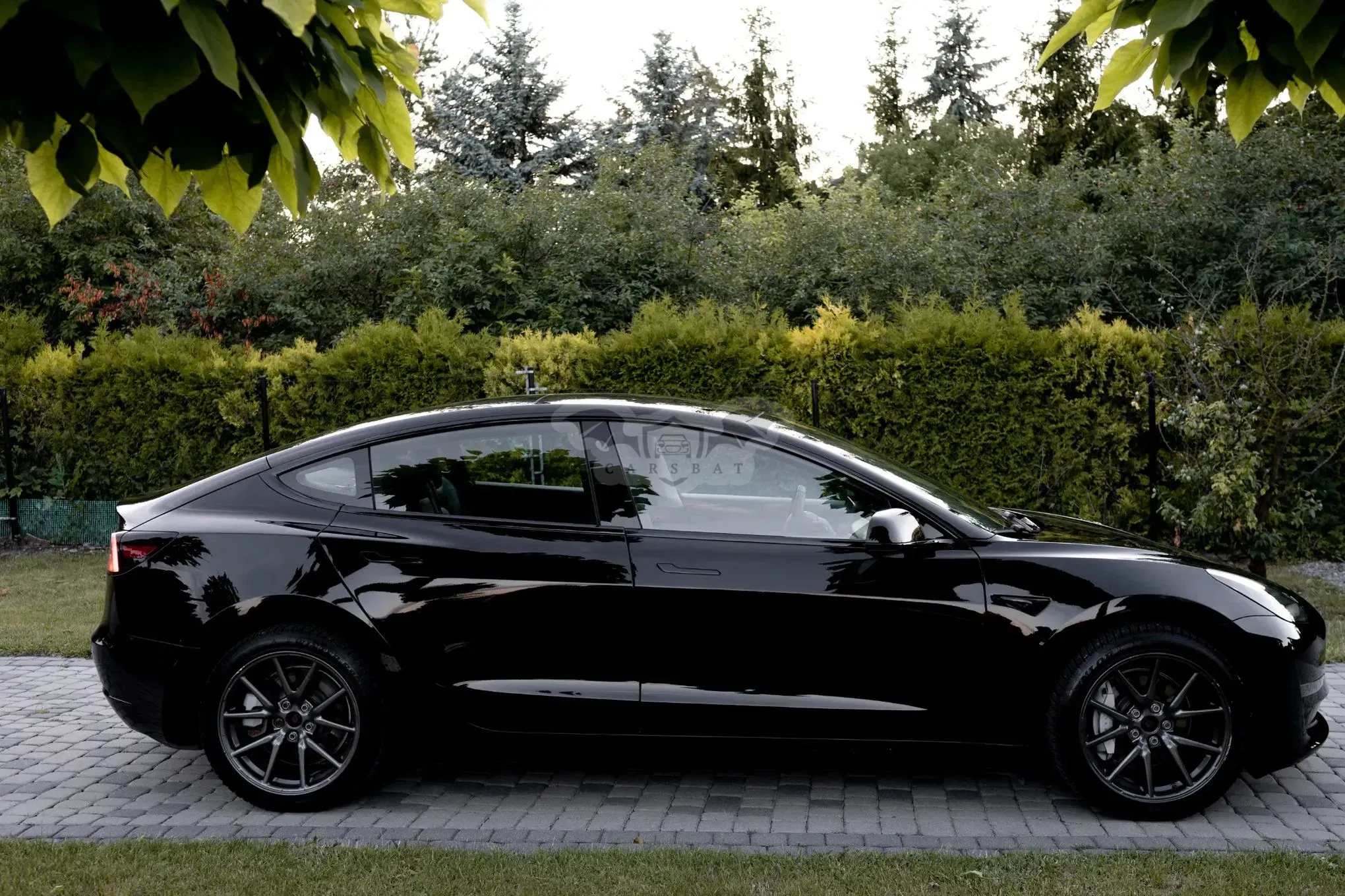 Tesla Model 3 2019