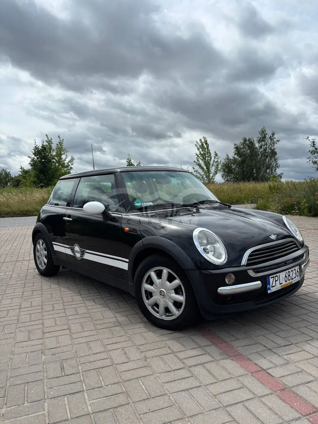 Mini One salt 2002