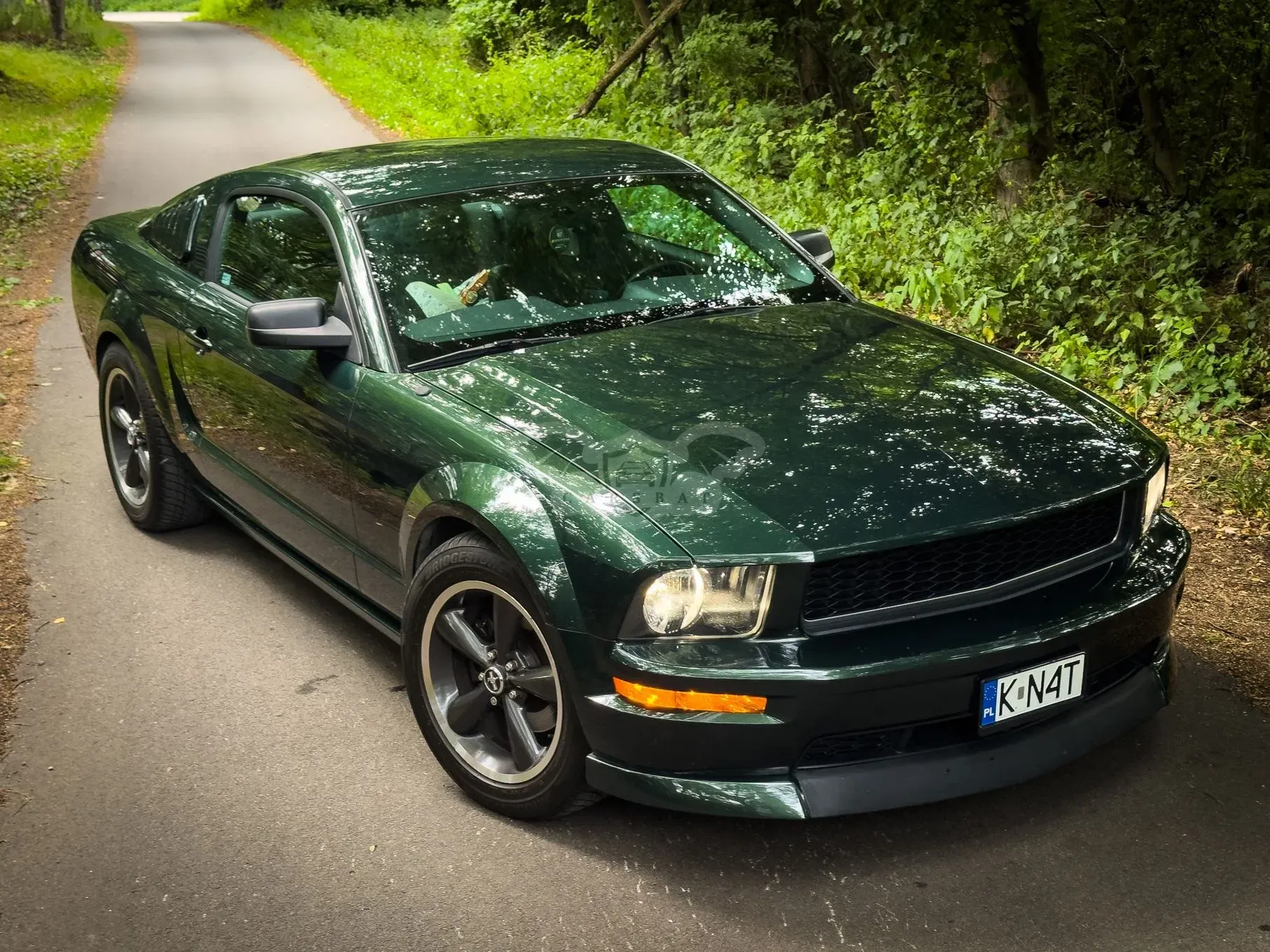 Ford Mustang 2008