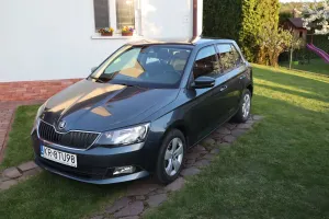 Skoda Fabia III (2014-2021) 2015