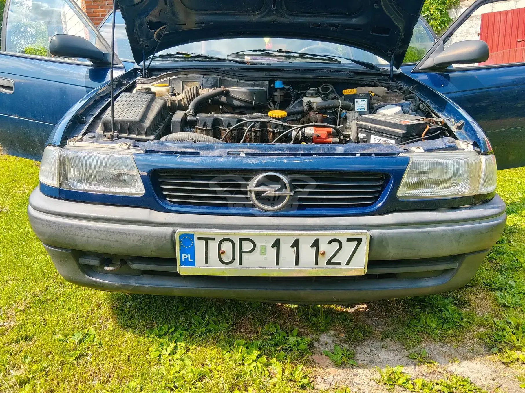 Opel Astra F (1991-2002) 1.4 Base 2000