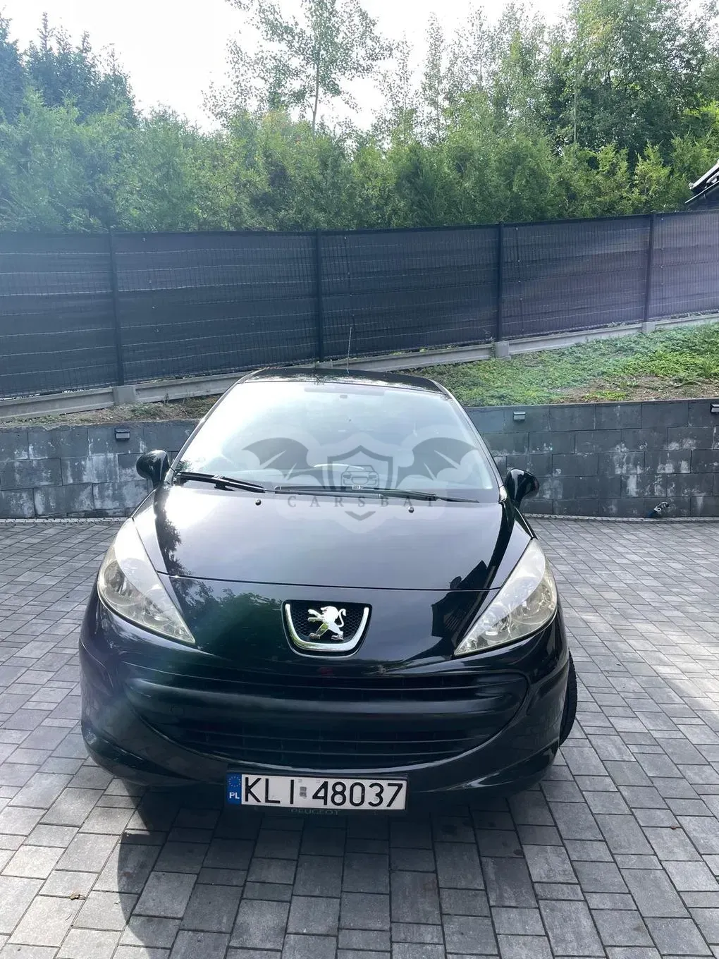 Peugeot 207 1.4 16V Trendy 2006
