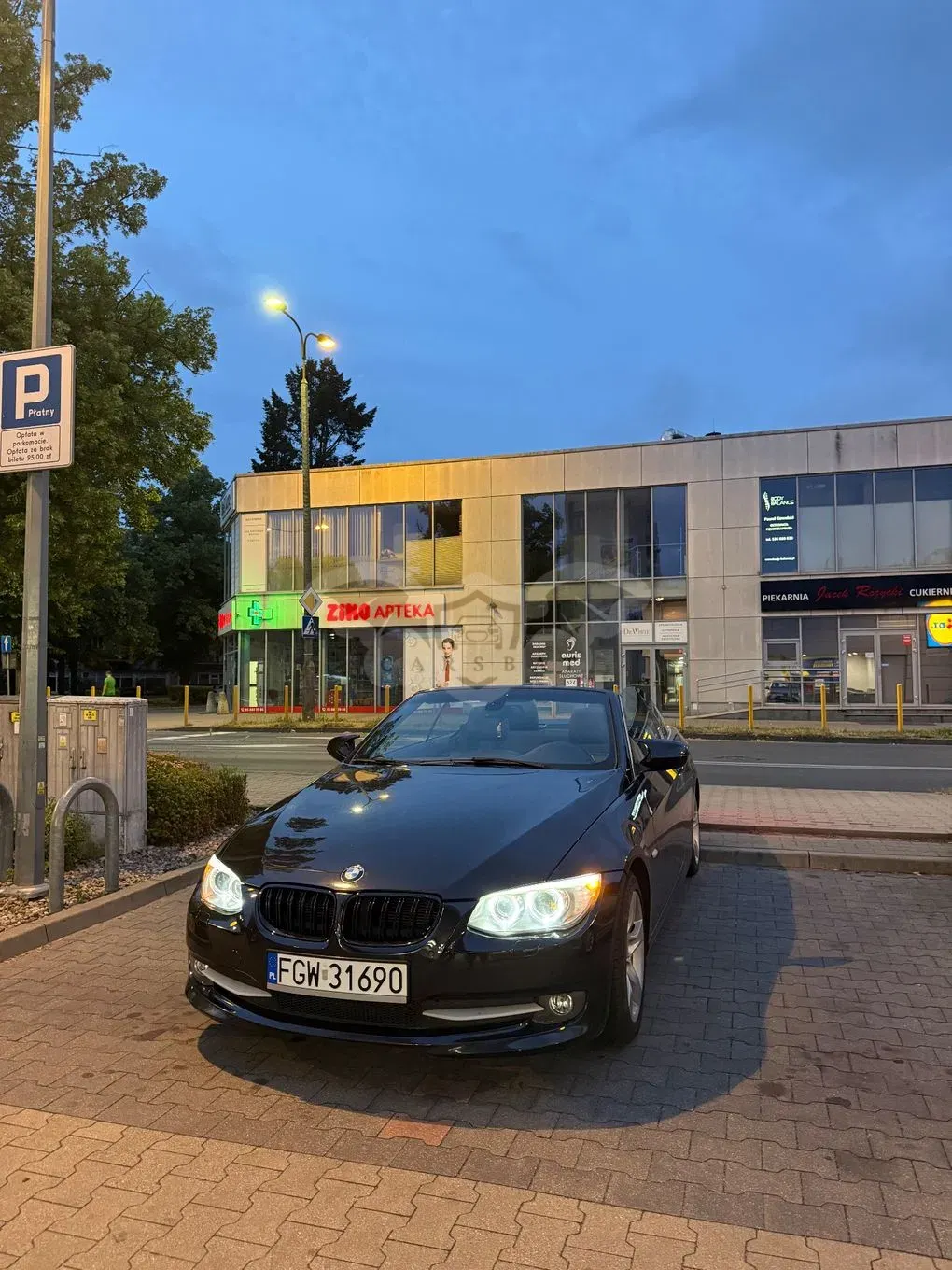 BMW 3 Series E90/E91/E92/E93 (2005-2012) 320i 2010