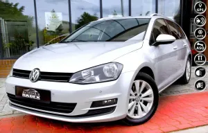 Volkswagen Golf VII (2012-2020) 1.6 TDI BlueMot Trendline 2014