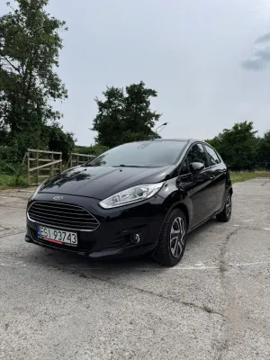 Ford Fiesta Mk7 (2008-) 1.0 EcoBoost Titanium 2013