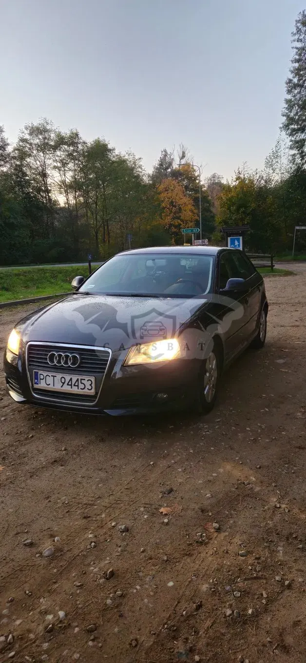 Audi A3 8P (2003-2012) 1.6 TDI DPF Ambiente 2010