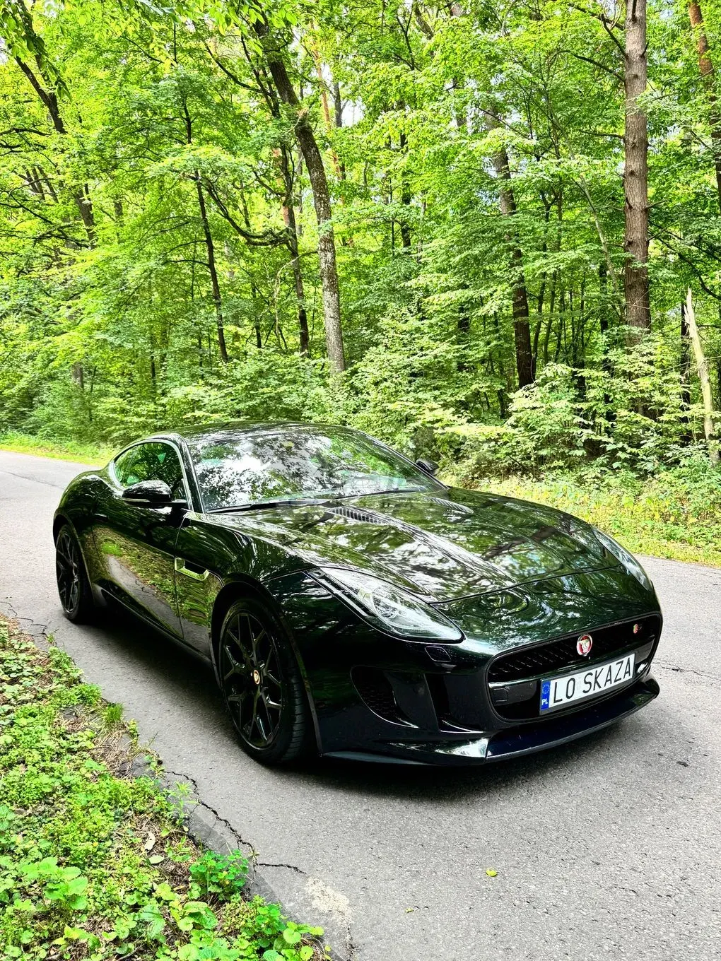 Jaguar F-Type Standard 2015