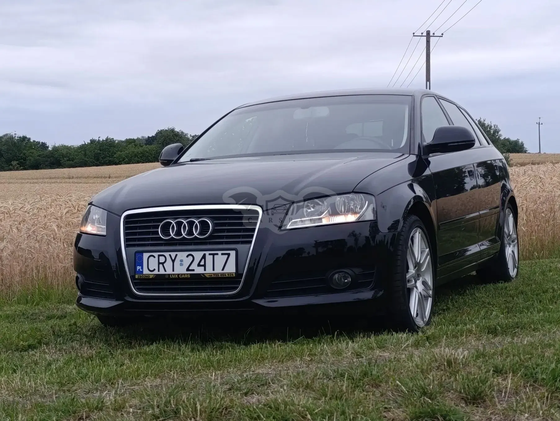 Audi A3 8P (2003-2012) 1.6 S tronic Ambition 2008