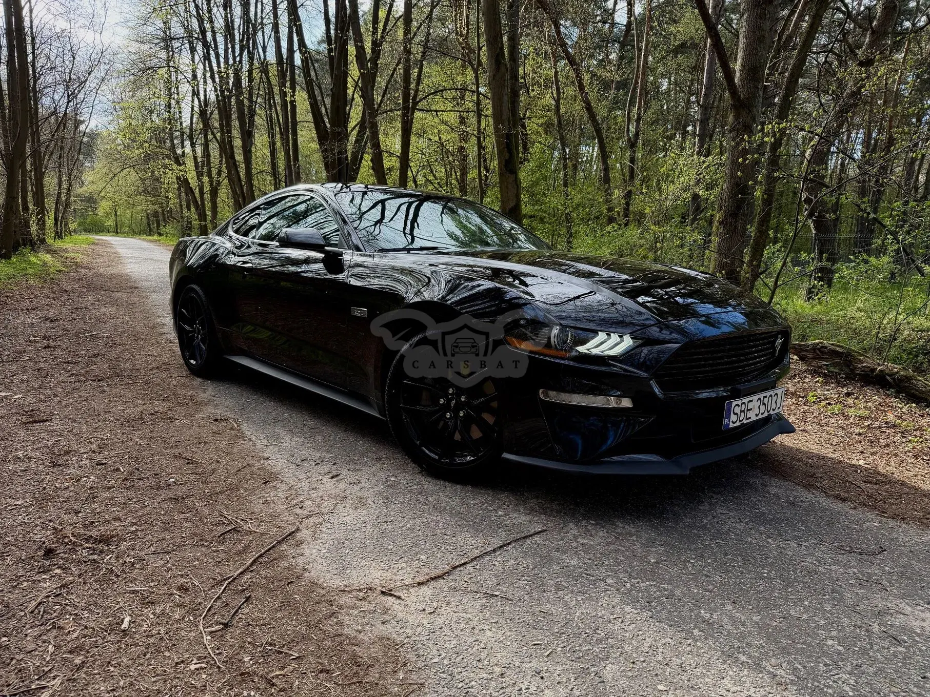 Ford Mustang 2.3 EcoBoost 2020