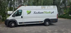 Fiat Ducato 2010