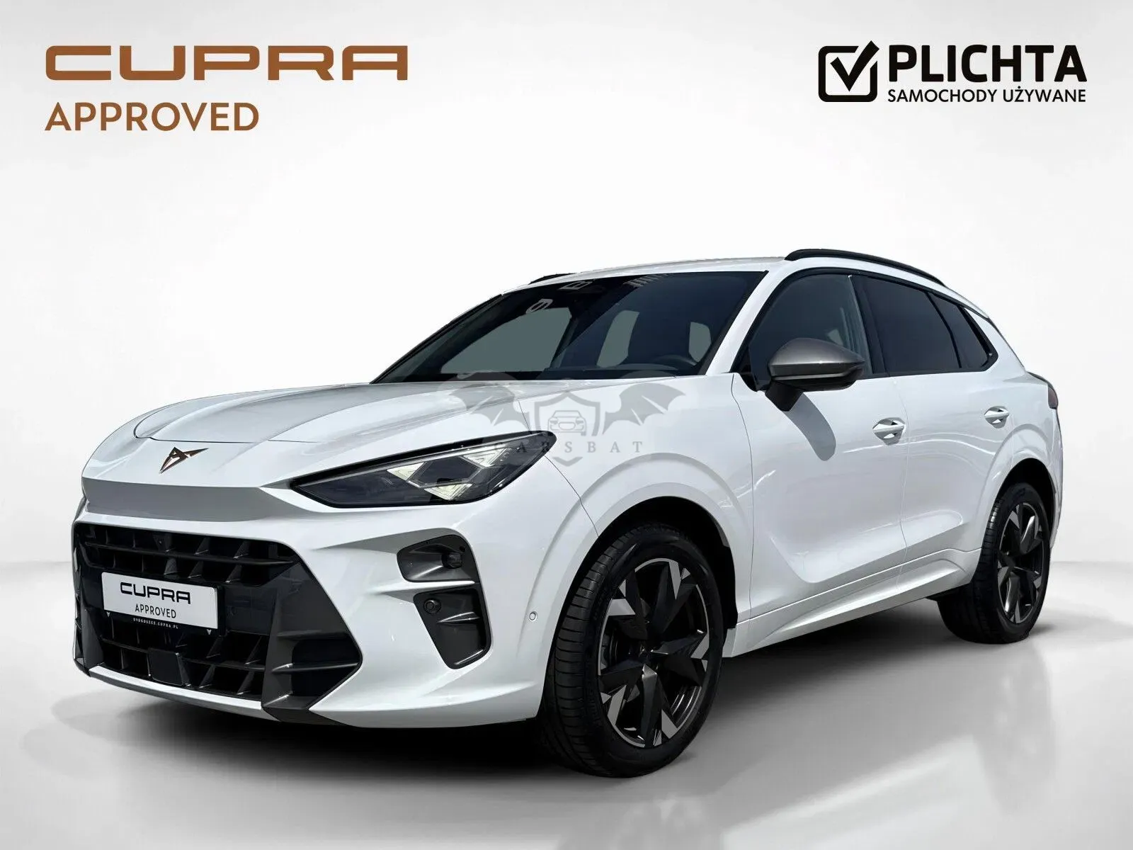 Cupra Terramar 2025