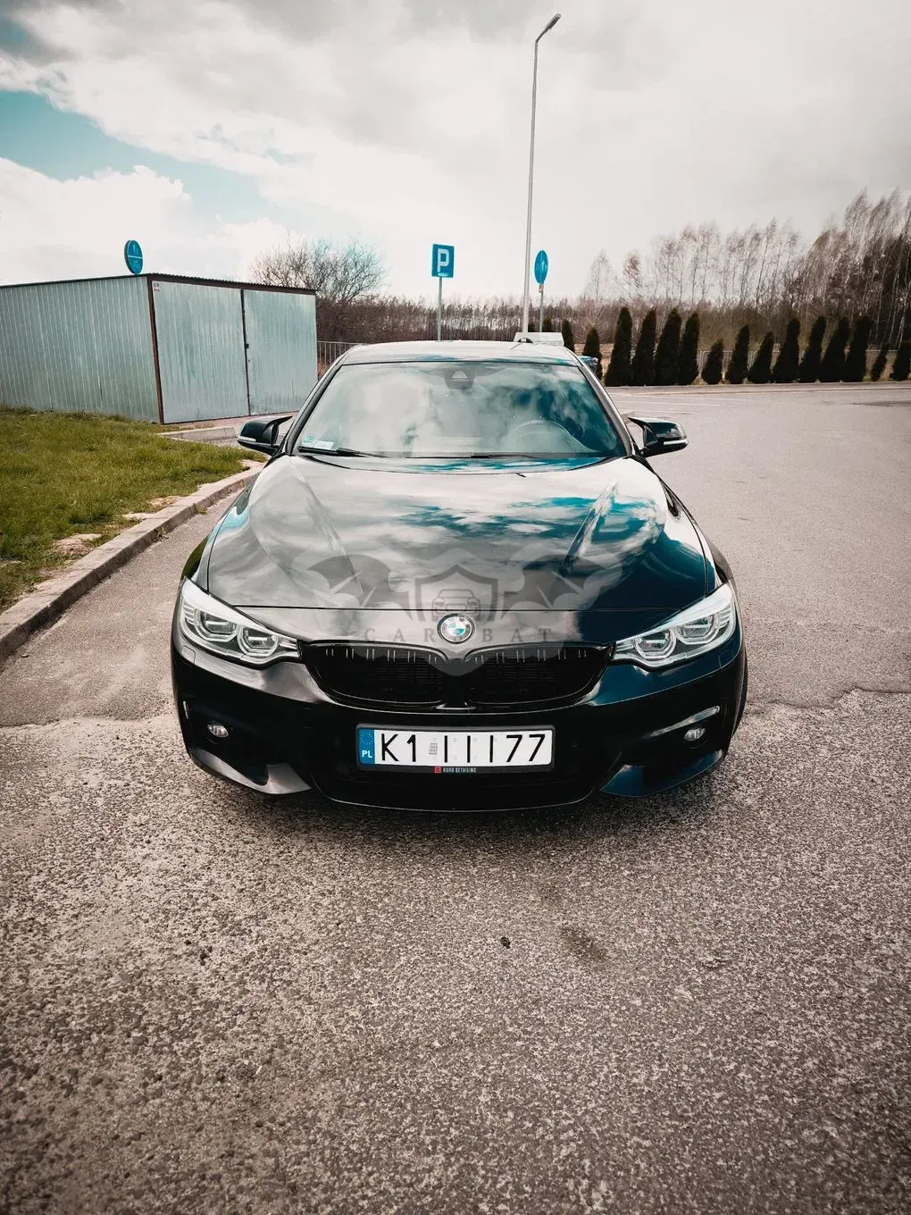 BMW 4 Series I F32/F33/F82 (2013-2020) 2015