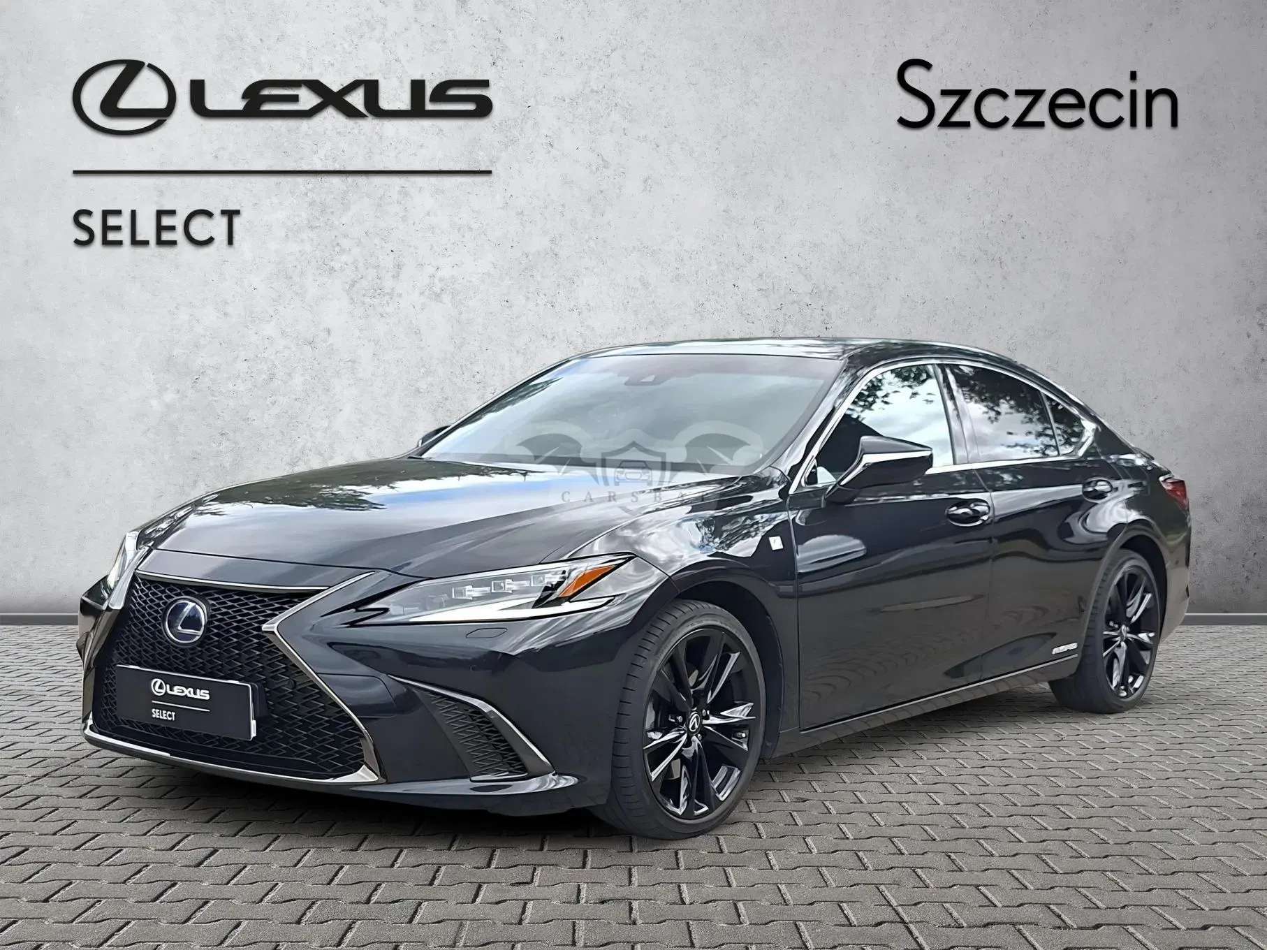 Lexus ES 300h F Sport Edition 2022