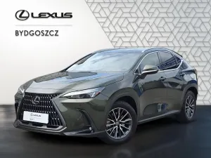 Lexus NX II (2021-) 2023