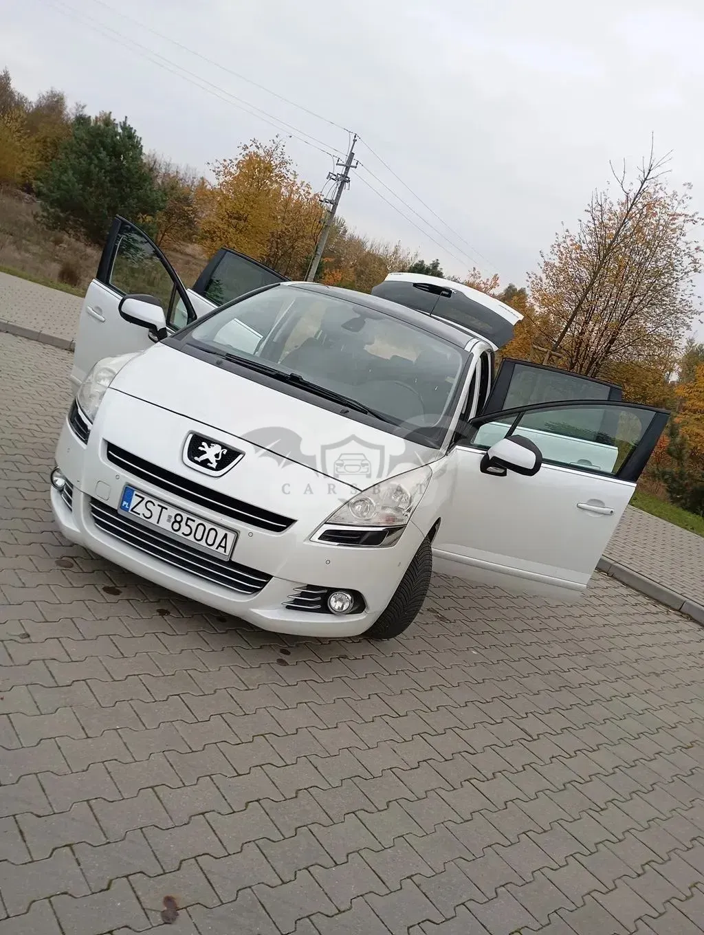 Peugeot 5008 I (2009-2017) 2011