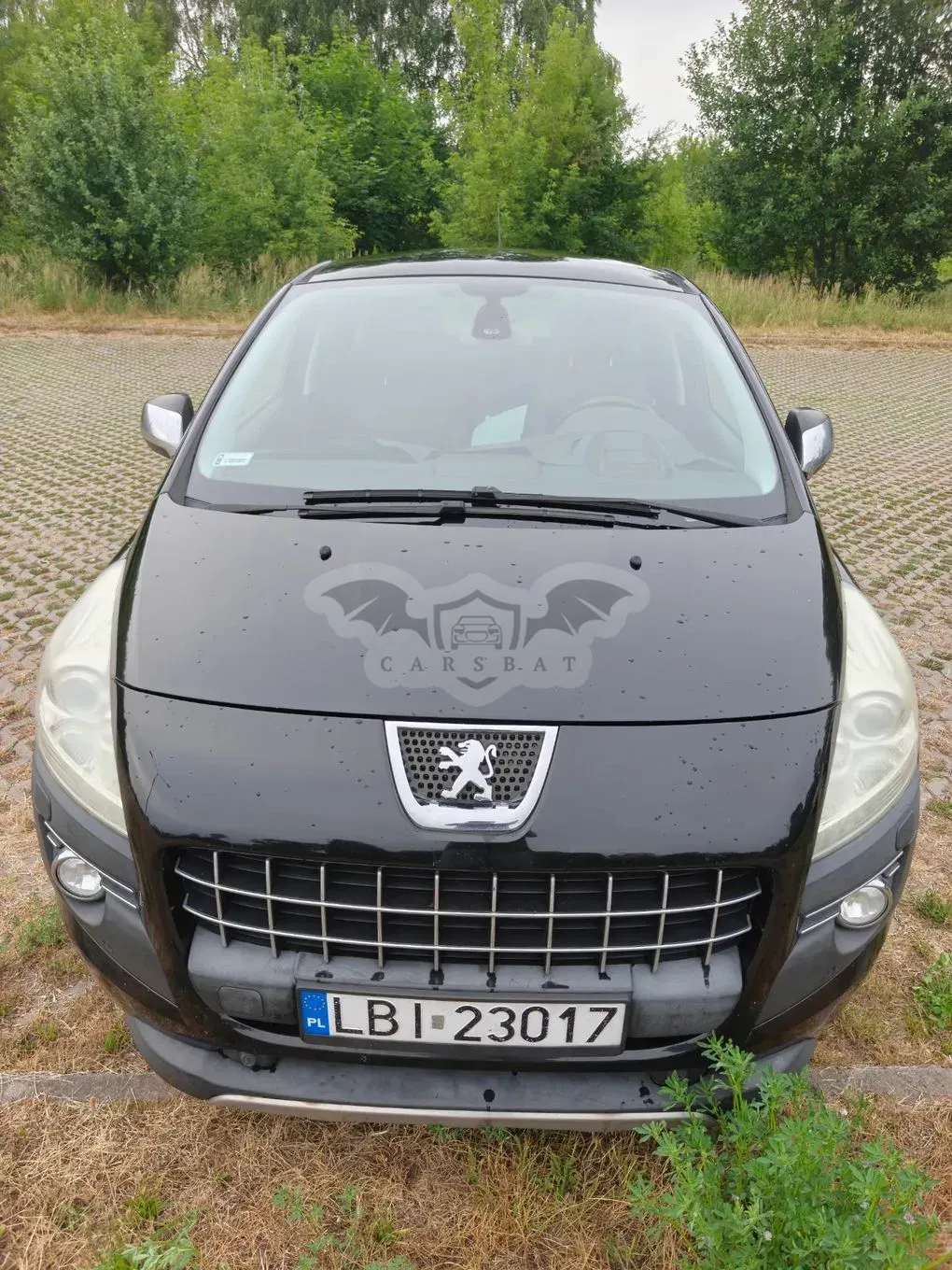 Peugeot 3008 I (2009-2016) 2.0 HDi Premium 2010