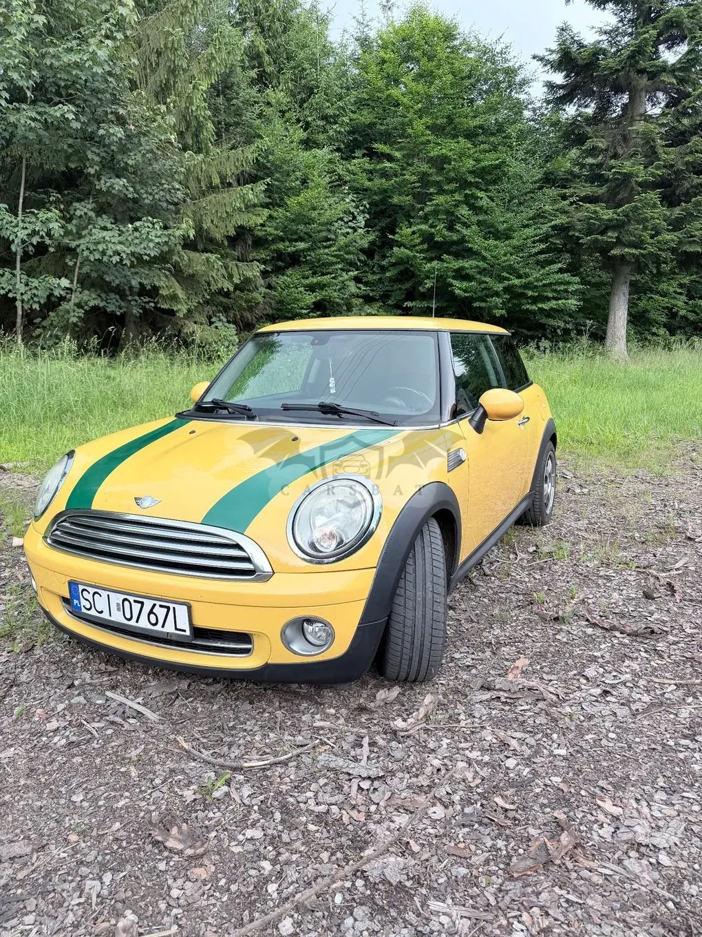 Mini Cooper Standard 2007
