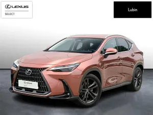 Lexus NX II (2021-) 2024