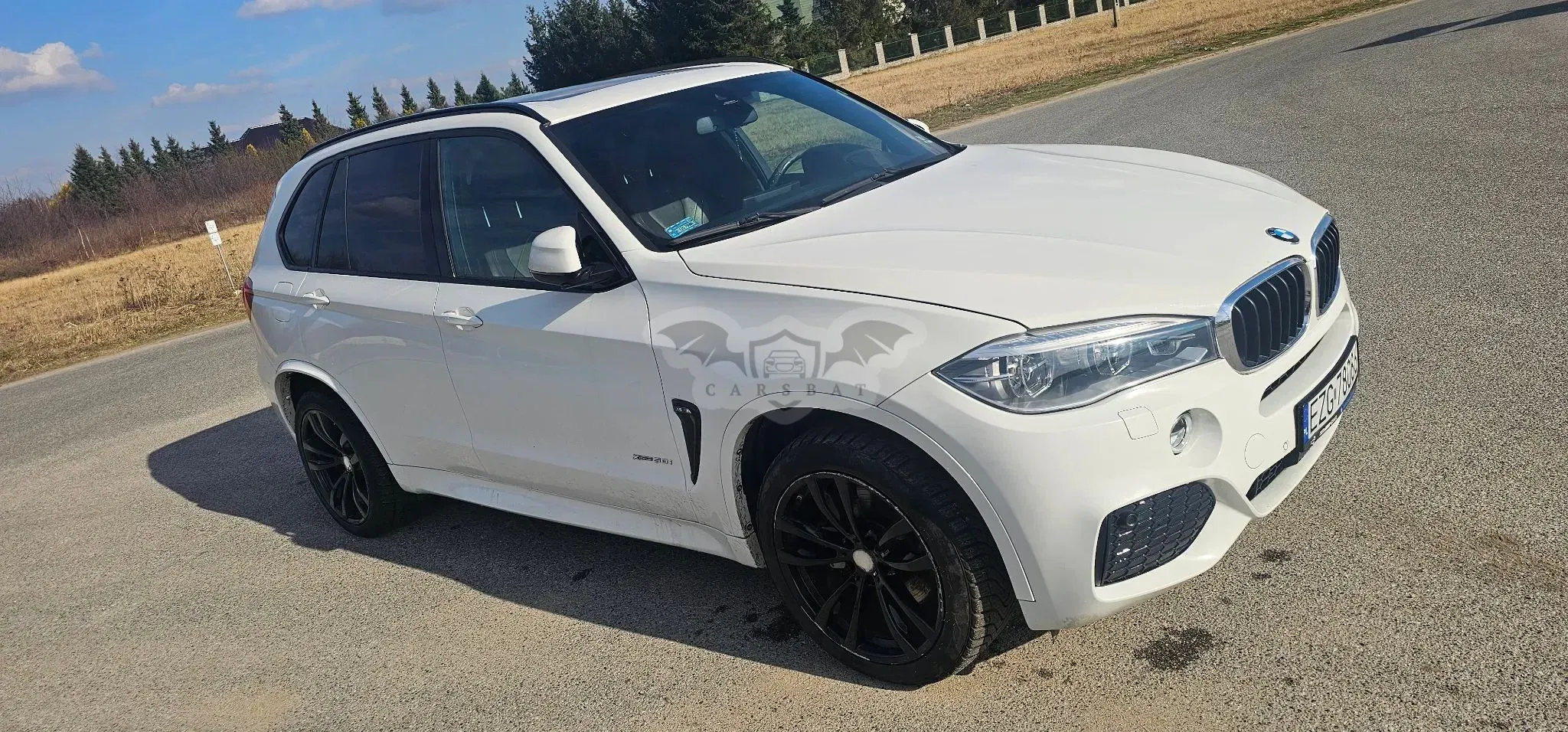 BMW X5 F15 (2013-2018) xDrive50i Sport-Aut 2018