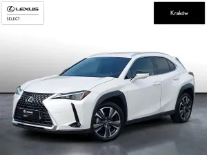 Lexus UX 300h Business 2025
