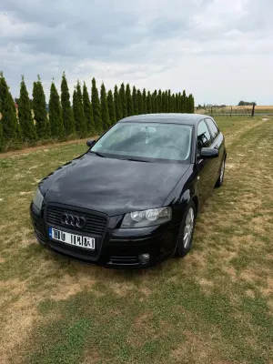 Audi A3 8P (2003-2012) 1.9 TDIe DPF 2007