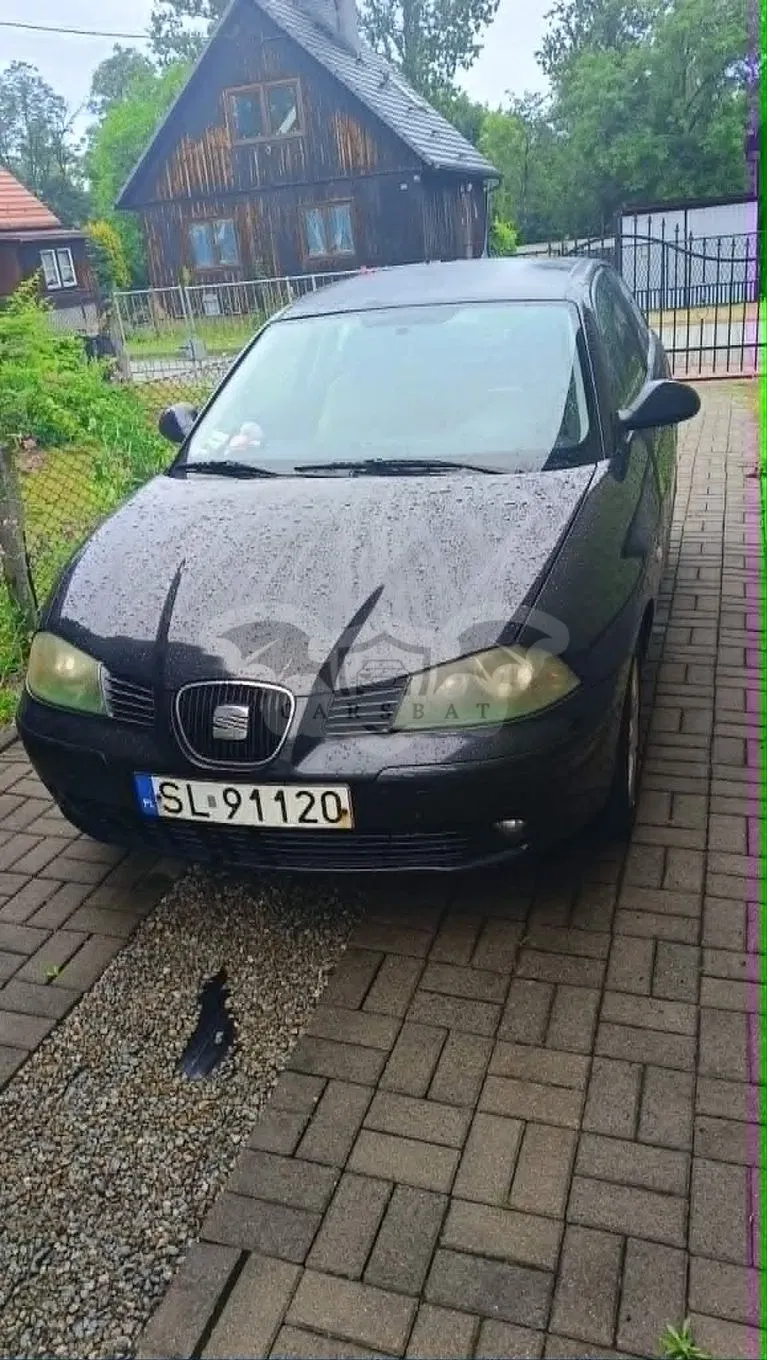 Seat Ibiza III (2002-2008) 2004