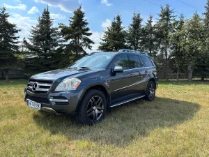 Mercedes-Benz GL X164 (2006-2012) 350 BlueTEC 2010