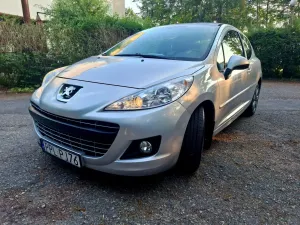Peugeot 207 75 forever 2013