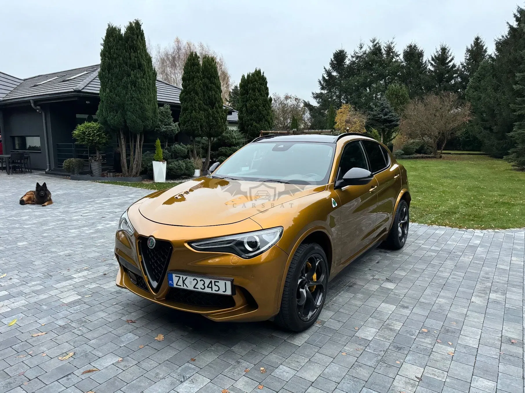 Alfa Romeo Stelvio 2.9 V6 Bi-Turbo Quadrifoglio Q4 2021
