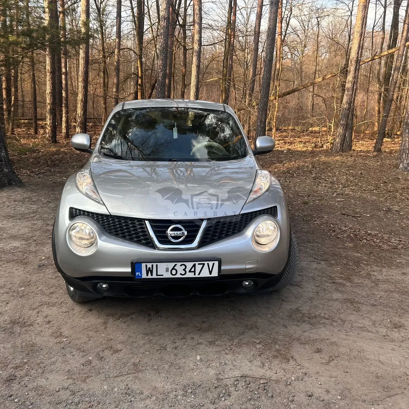 Nissan Juke I (2010-2019) 1.5 dCi Acenta 2013